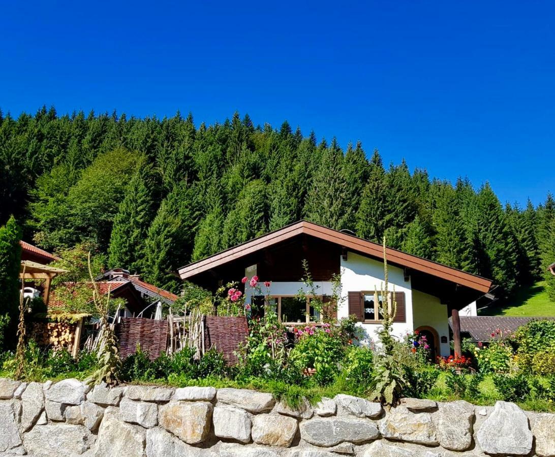 Ferienhaus Ursula クレー エクステリア 写真